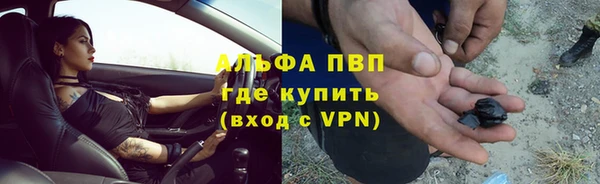 крисы Куйбышев