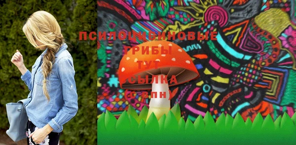 мяу мяу мука Кукмор