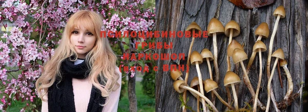 крисы Куйбышев