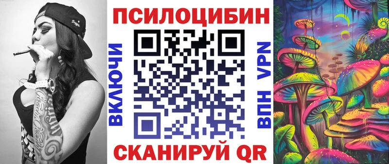 Купить где  Камбарка  Галлюциногенные грибы Psilocybe 